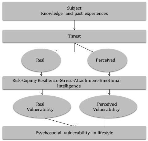 Figure 2: Theoretical configuration of psychosocial vulnerability in lifestyle [49].