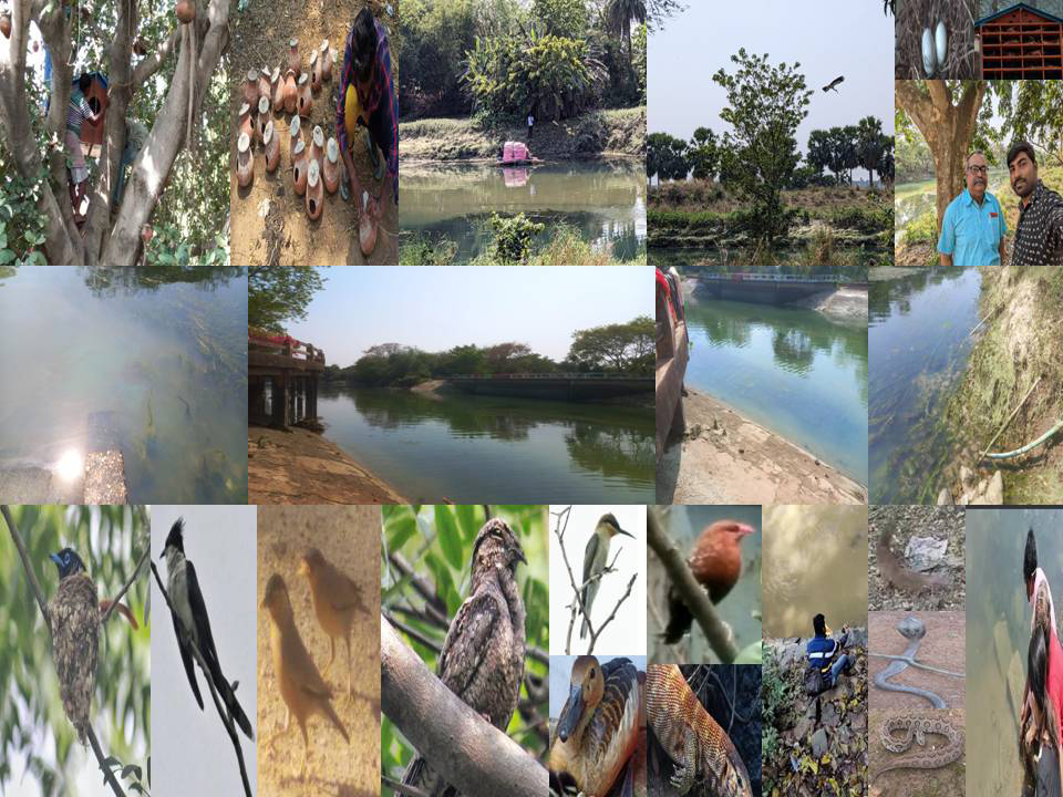 Figure 3: Advances in Clinical Toxicology Eco-Technology Awareness, and Artificial Nest Focusing on Biodiversity Conservation.