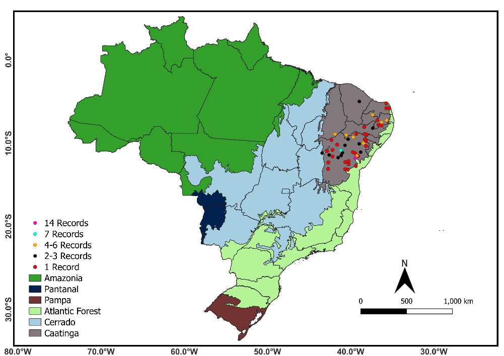 Figure 1: Geographic distribution of photographic records (n = 114) of the Greater Rhea (Rhea americana) obtained by citizen scientists in the Caatinga, Brazil, between 2007 and 2023. Records were gathered in the WikiAves platform in April 2023.