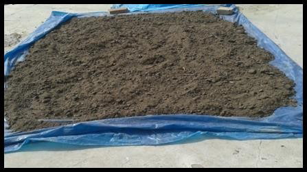 Figure 3: It is also a strong biogas source because it contains approximately 5- 15% sugar content. Pressmude is focused on the utility of fertilizer because it is rich in many micronutrients [7].