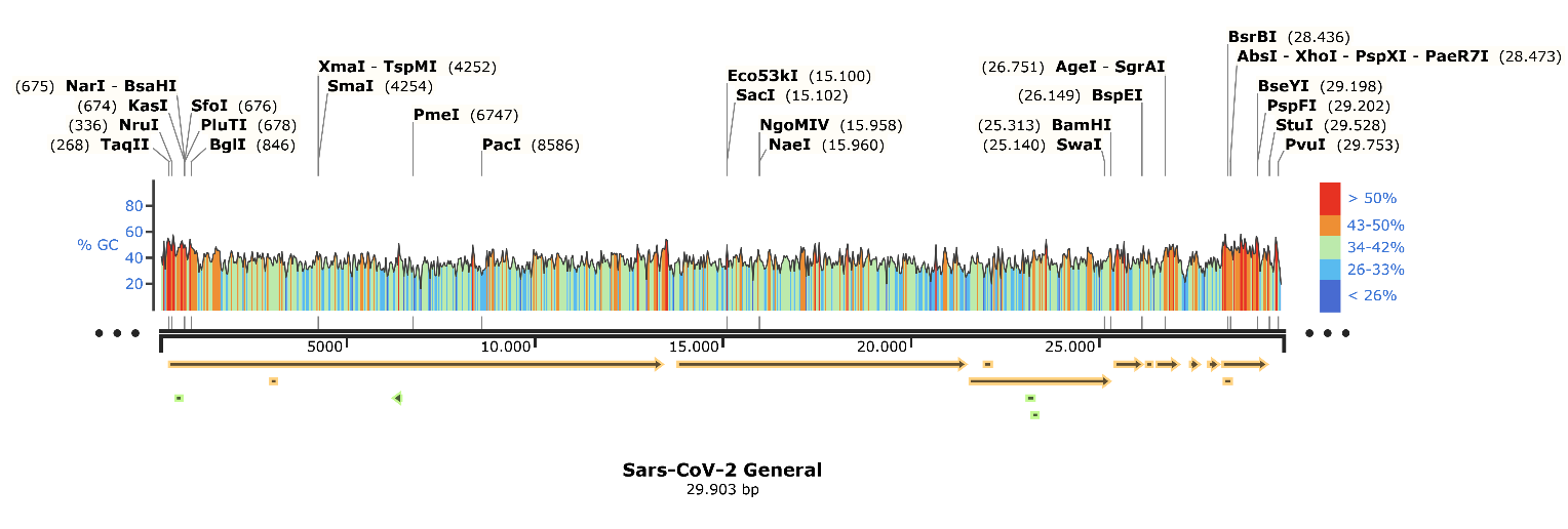 Figure 2: SARS-CoV-2 Sequence Map.
