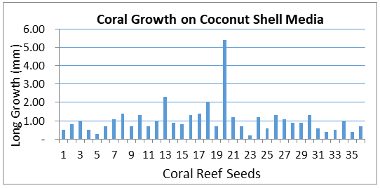 Figure 6: Graph of seedling growth on Coconut Shell Media. In Figure 6, it can be seen that the absolute height growth of coral reef seedlings with coconut shell media for all seedlings is 36 seedlings. From the graph, it can be seen that during the 11-week observation there was a different length growth for each seedling. By using the absolute height growth formula, which is the difference between the changes in the average height at the end and the average height at the beginning of the observation, the absolute length growth can be calculated. Based on this formula, absolute growth can be calculated, namely: