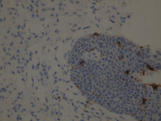 Figure 1: Clinic.