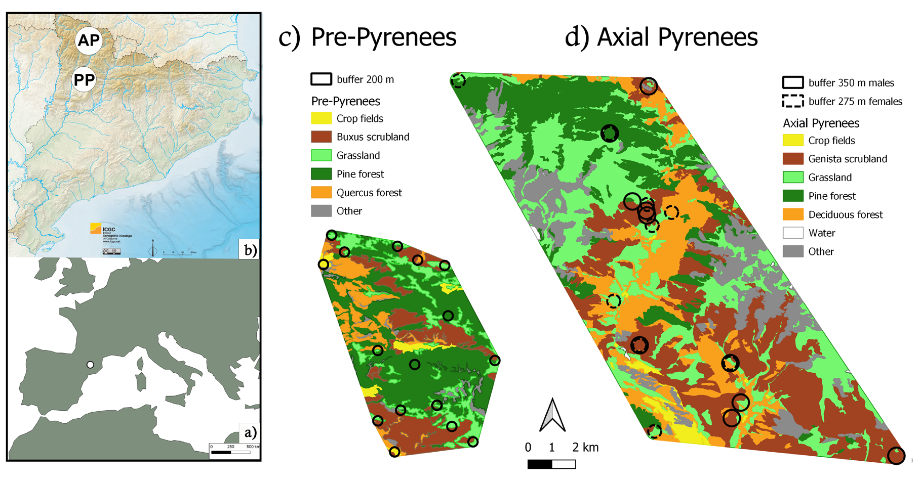 Figure 1: Map of major habitat classes in study areas: a) Study area in relation to Europe (Land map, version 4.1.0. Made in Natural Earth), b) Study areas in relation to Catalunya, AP: Axial Pyrenees and PP: Pre-Pyrenees (Physical and hypsometric map 2019, Cartographic and Geological Institute of Catalonia) c) Pre-Pyrenees d) Axial Pyrenees. Circles indicate locations of sampled individuals, with buffers used to characterize habitats around locations (see Methods) with the individuals’ buffers and the habitats of each area.