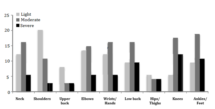 Figure 1: The quality of prevalence of musculoskeletal disorders among midwives studied in the last 12 months.