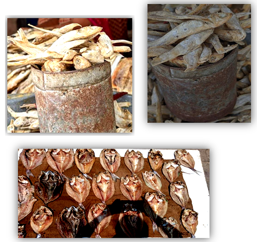 Figure 32: Ice Freezing of Fish.