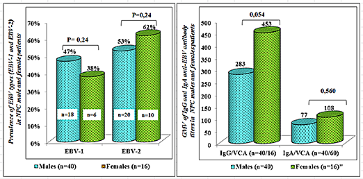 Figure 3: EBV types and serological markers in NPC male and female patients.