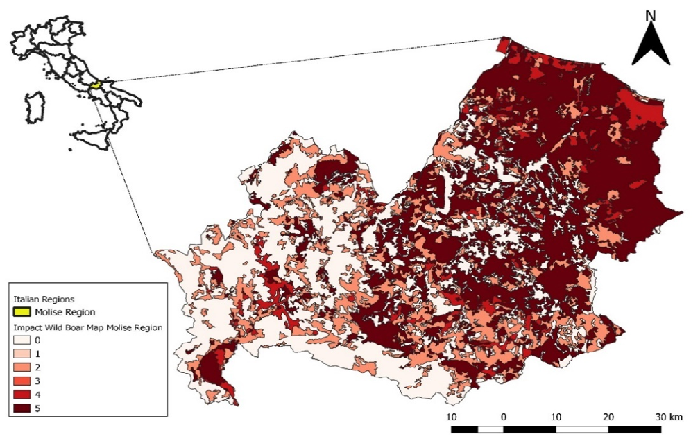 Figure 1: Polygonal vector file produced for each area of Molise Region.
