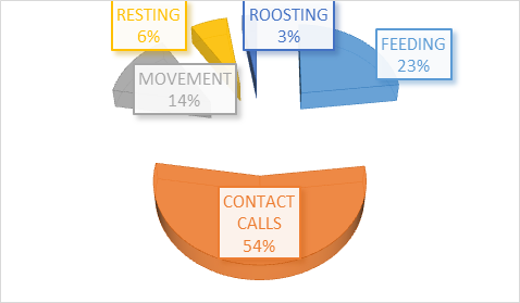 Figure 8: Behavioral activity of the parrots.