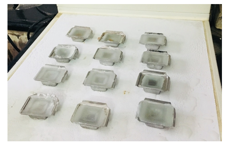 Figure 4: Wax Blocks prepared and kept on Cold plate.