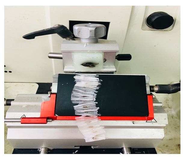 Figure 5: Ribbon Formation by Rotary Microtome.