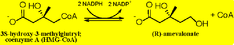 Figure 4: Structure of Human SMO and Computational Model of SMO-Terbinafine Complex. The structure of SMO was solved in complex with the small molecule inhibitor NB-598. This structure was used to create a model of the enzyme with the anti- fungal drug terbinafine. The figure was modified from Padyana, et al. [24].