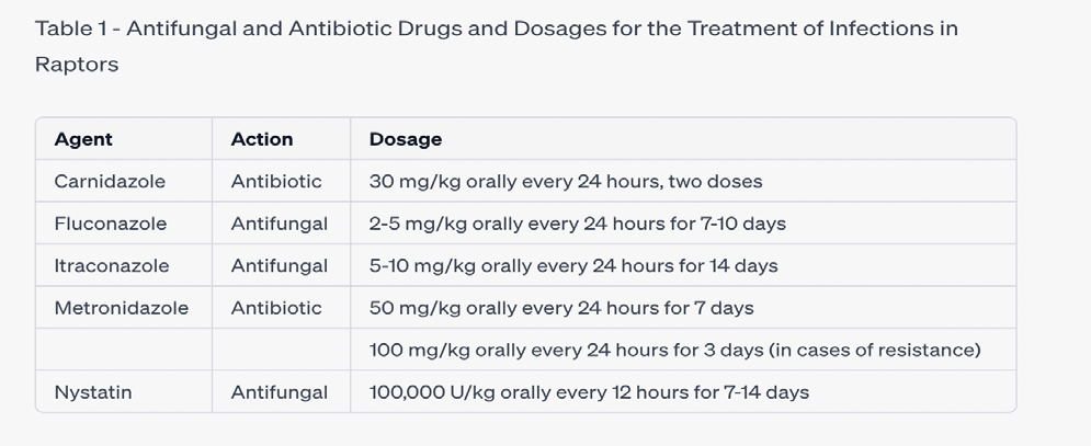 Figure 3: Antifungal and Antibiotic Agents and Dosages for the Treatment of Infections in Raptors