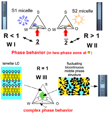Figure 3: When the interactions between the surfactant and the oil and water phases are exactly equal (R=1) and are high enough to be above the critical micelle concentration (CMC), a three phase behavior (WIII) occurs, with a middle phase arrangement (related to liquid crystal structures) able to satisfy equal affinities.