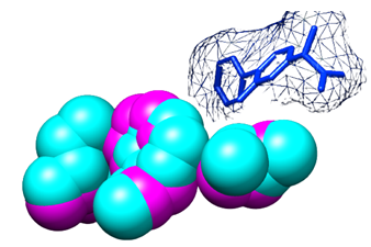 Figure 10: Figure illustrates Inhibitor flurbiprofen is nonselective because it fits well in the sites of the isoforms.