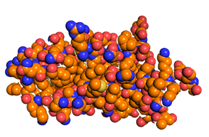 Figure 14: Figure illustrates Roving Detail.