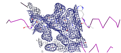 Figure 19: Figure illustrates Molscript R3D Input.