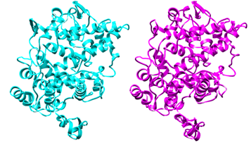 Figure 2: Figure illustrates COX Inhibitors.