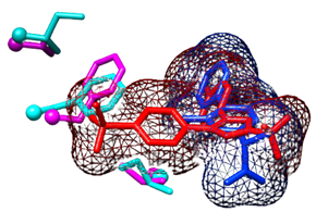 Figure 5: Figure illustrates Superimposing COX-1 COX-2 illustrates high similarity.