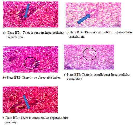 Figure 2: Effects of oxalic acid on mineral availability and health of O. niloticus before bath culture (7 ± 0.4g).