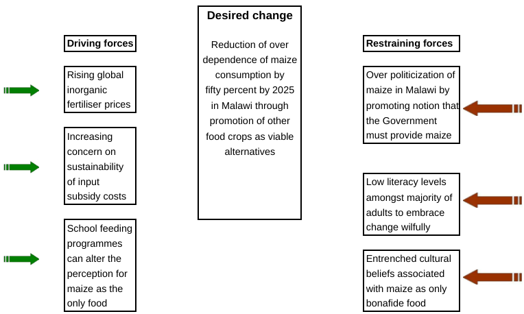 Figure 1: Lewin’s Field Force in Malawi’s Maize Industry.