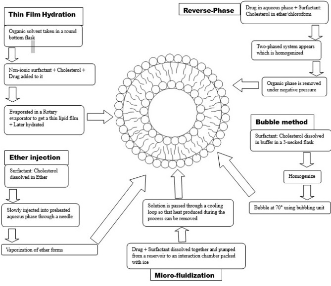 Figure 2: The following methods are used for preparation of niosomes.