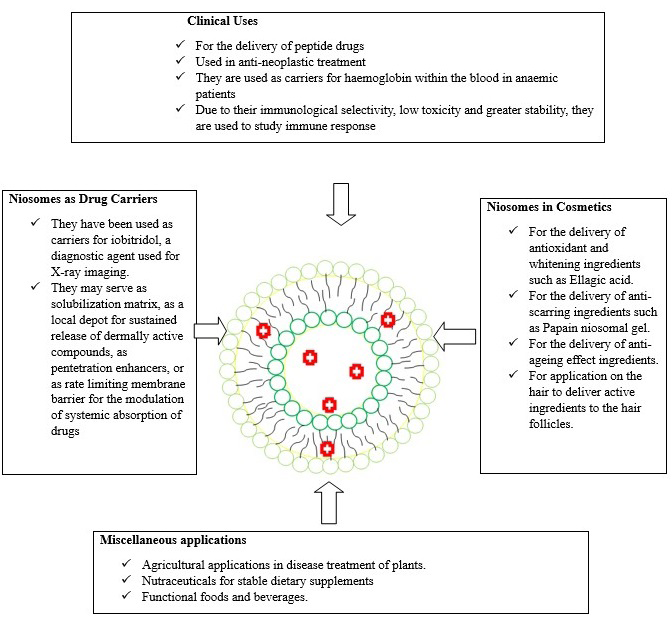 Figure 3: Applications of niosomes in different fields.