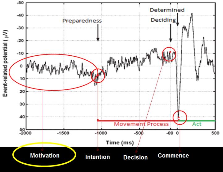 Figure 1: It is clear that object’s movement inchoate with enhancing potential which takes much longer than the determination step; also, there is an abrupt raise in potential during the period of deciding to make a decision; this decreasing status turns into precipitate increasing potential by the beginning of activity. These potential changes could elucidate that if object had an intention to do a specific kind of terrorism or not; or even illustrating if suspect commits such a crime or not. Howbeit, the latter is not so reliable. In the latest medical science mechanism, scientists try to put the object into the state of hypnosis and drawing from EEG method, assess his/her criminal responsibility in the situation of offense occurred. In this sense, any reactions to events and phenomena could imply the reasons motivate suspect to terrorism. Inspired of what Greely stressed the most suitable functions in this regard are as follow: lie-detection, bias- detection, pain-detection and finally criminal responsibility [25-29]. For instance, fMRI of the prefrontal lobe of the brain could be the way to show when individuals tell lies. The experiment of “the brain responds to evidence” is a method for demonstrating honesty of pretenses; this method investigates nervous repercussion in the context of consistent or inconsistent object’s beliefs with cerebral given data. As it is shown in the (Figure 2), when object’s belief and evidence are inconsistent, we are witnessing the brain activity in certain areas are displayed in red symbols; and green symbols shows the consistent one [30].