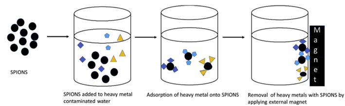 Figure 3: SPIONs have been reported to remove synthetic dyes where the adsorption was dependent on the pH and electric charge of the adsorbent and adsorbate.