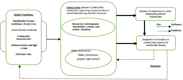 Figure 1: Framework for identification of multi-stakeholder platform strategies on integrating avocado as a climate-smart farming practice. (Adapted from Ostrom, Gardner, Walker, and Walker, 1994).
