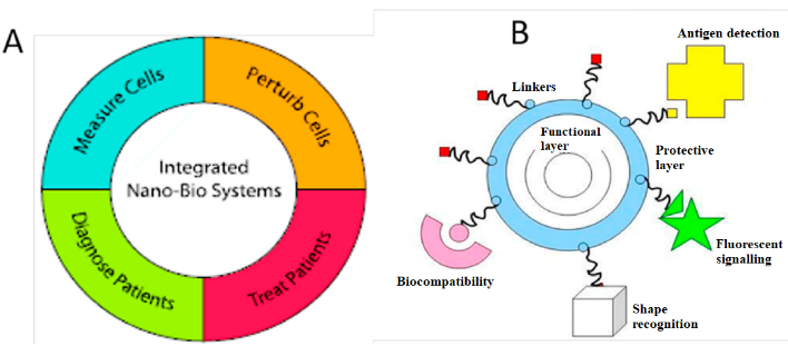 Figure 2: (A) The application of nano sized technologies sample in biology and medicine, (B) nano sized materials in solve medical problems sample [10,11].