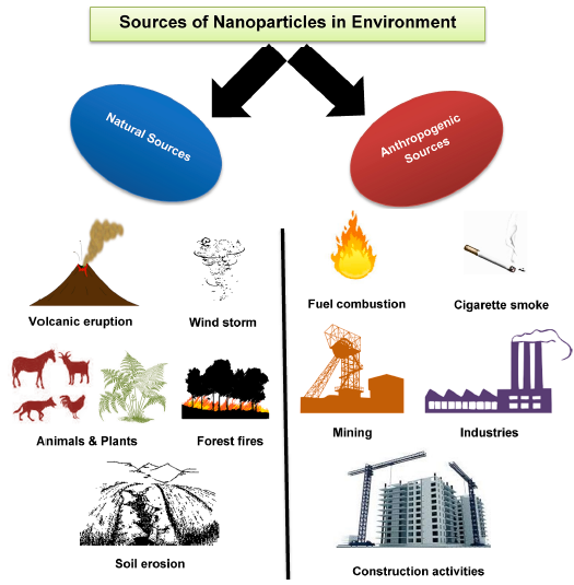 Figure 4: The toxicity of the environment contributes to the increase of nanoparticles [15].