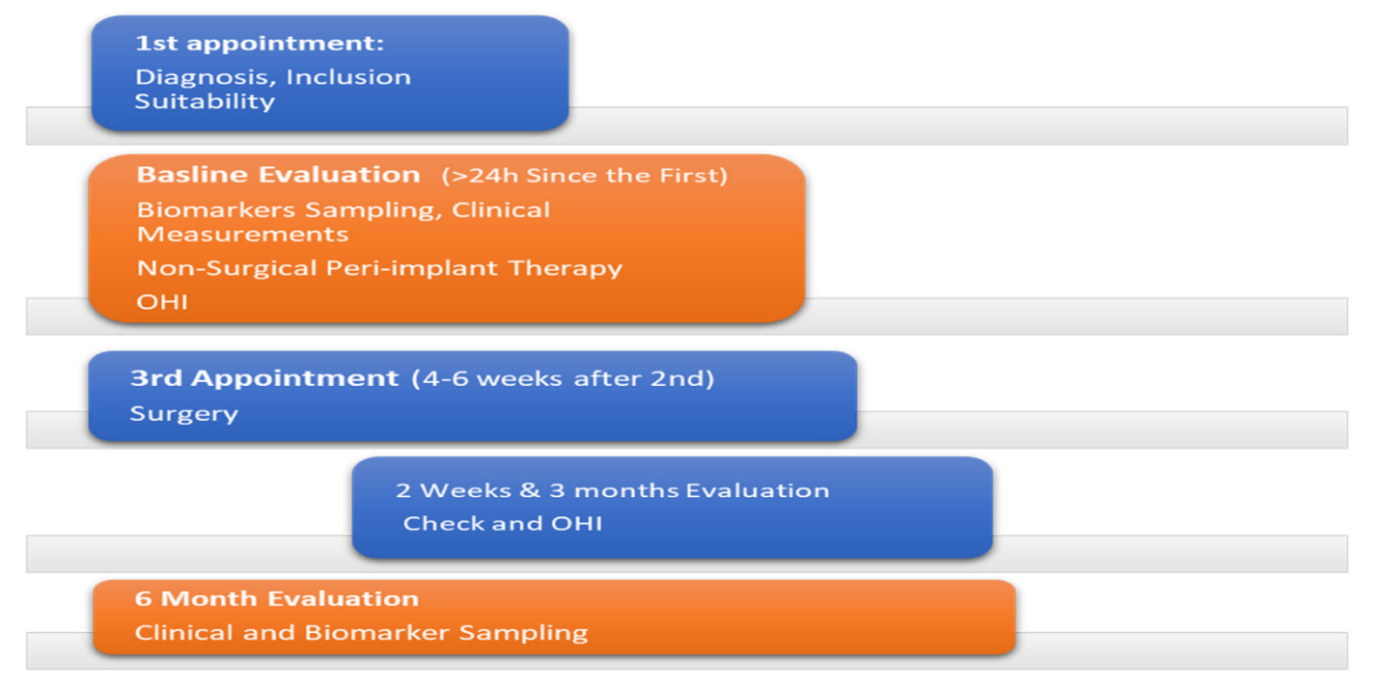 Figure 2: Treatment timeline.