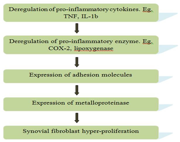 Figure 2: Pathophysiology of RA.