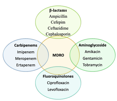 Figure 1: Different classes of antimicrobials.