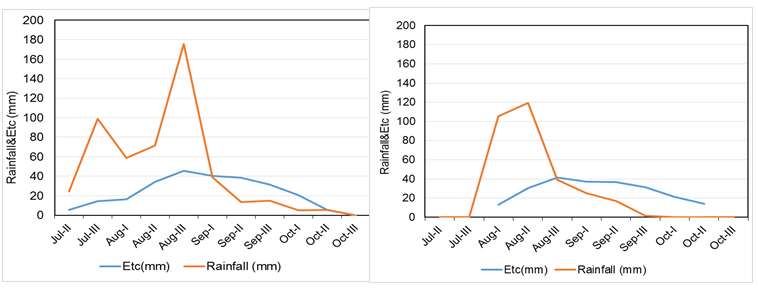 Figure 10: Water productivity of sorghum crop by different farming systems during the two seasons.