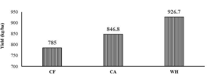Figure 14: Water productivity of sesame crop under different farming systems during the two seasons.