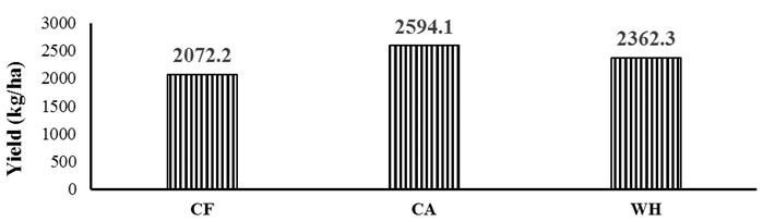 Figure 9: Average Sorghum grain yield (kg/ha) under different farming systems during two seasons. Water Productivity for Sorghum Crop The average value of water requirement for sorghum crop in the Study site for both seasons was 239.0 mm which is equivalent to 2390 m3/ha. The analysis of the water productivity “WP” (kg/m3) according to equation 2, shows that the value of WP ranged between 0.882 and 1.042 kg/ m3 in the first season and between 0.808 and 1.162 kg/ m3 in the second season. The highest WP was obtained by the CA farming system in the first and the second seasons, respectively. While the lowest WP was obtained by the CF farming system in both seasons. These results agreed with Singh R, et al. [29] who reported that the average water productivity for sorghum in India ranged between 0.56 and 1.43 kg/m3 (Figure 10).