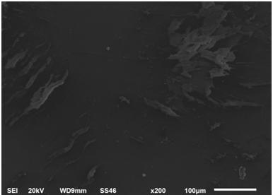 Figure 1: XRD spectra of TiO2 nanoparticles. In order to obtain the morphology of the TiO2powder, SEM observation was carried out. Fig. 1 shows the SEM image of the dried gel and TiO2powder. The grains are nearly spherical with approximately uniform particle size and its distribution ranging between 3 and 100nm, which are clearly observed in Figure 1. The scanning electron microscopic (model: JEOL JSM 6510 LV) images for as- prepared TiO2 nanoparticlesis shown in Figure 2. The SEM surface images of TiO2 coating heat-treated at 1100°C. It is seen that there is a smooth surface at low magnification is shown in Figure 3.