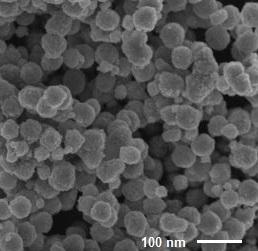 Figure 4: Table 2 shows identification of algae on the un-coated glazed ceramic tiles was performed according to usual morphological criteria.