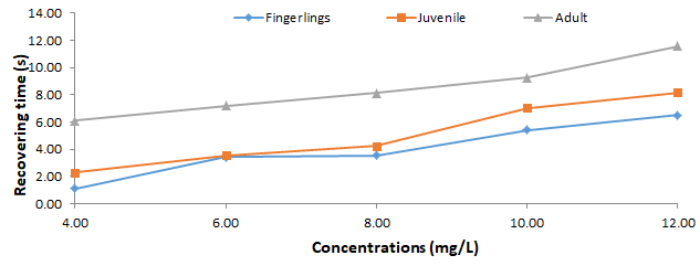 Figure 2: Comparative values of Recovering time of different sizes of C. gariepinus exposed to Nutmeg Seed Extract.