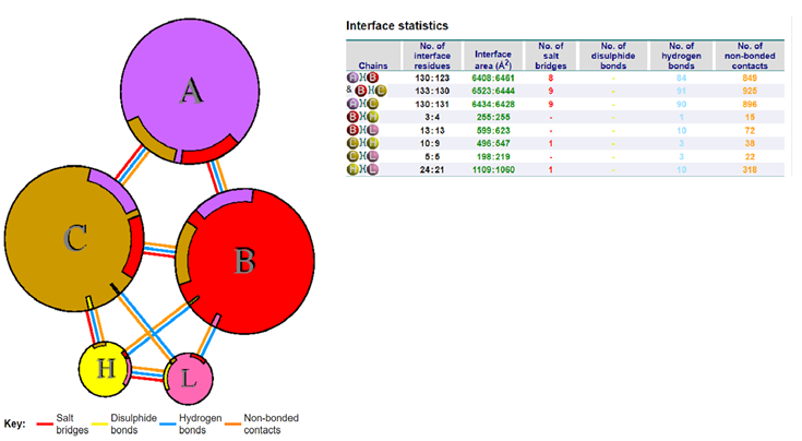 Figure 8: Interactions between It28 antibody and Delta variant of the SARS-CoV-2 virus.
