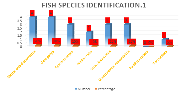 Figure 3: Fish Identification-3.