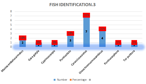 Figure 4: Fish Identification-4.