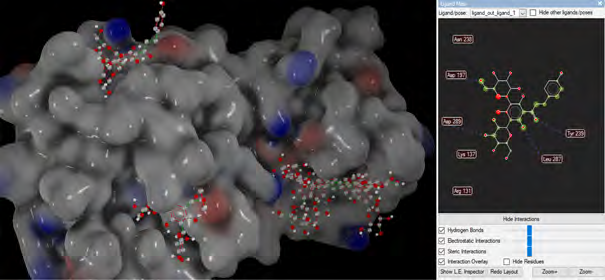 Figure 3: Representation of Phloretin 3’,5’-Di-C-glucoside molecule at the active site of 6LU7 in molecular docking.