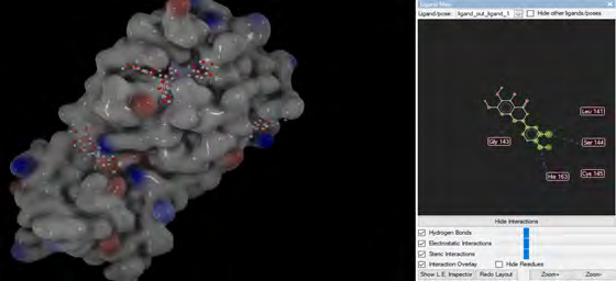Figure 8: Representation of 3’,5-Dihydroxy-4’,6,7-trimethoxyflavanone molecule at the active site of 6LU7 in molecular docking.