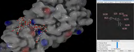 Figure 9: Representation of Clemomandshuricoside B molecule at the active site of 6LU7 in molecular docking.