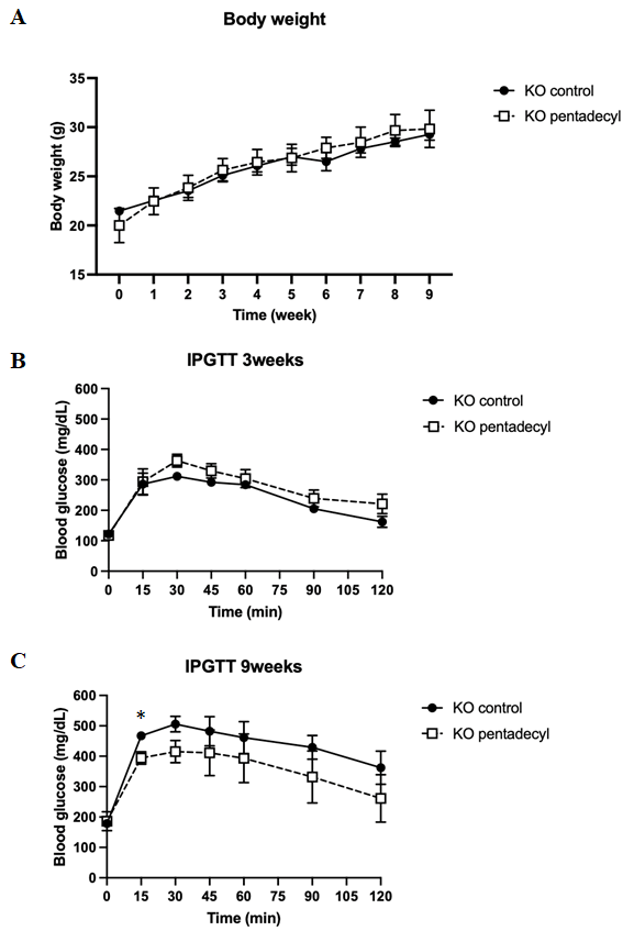 Figure 2: Effect of pentadecyl in body weight and insulin secretion in pancreatic beta cell-specific Cdkal1-deficient mice. (A) Effect of pentadecyl on body weight. The pentadecyl group was given 6.7 µg of 10% pentadecyl dissolved with dextrin per 1 g of HFD, and the control group was given the same amount of dextrin instead of pentadecyl. KO mice aged 6 weeks old were given free- feeding for 9 successive weeks. Mice body weights were measured every week. n = 4 each. Results of IPGTT at 3 (B) and 9 (C) weeks after feeding with HFD containing pentadecyl. As a control, mice were given dextrin instead of pentadecyl. n = 4–5. *P < 0.05.
