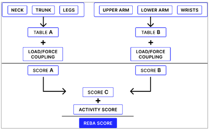 Figure 2: Flow chart for RULA Score.