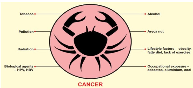 Figure 6: Common causes of cancer.